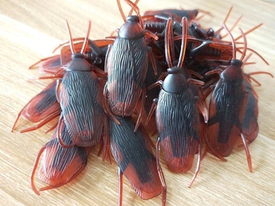 小強(qiáng)一頁(yè) 玩具工廠的銷(xiāo)售奇跡