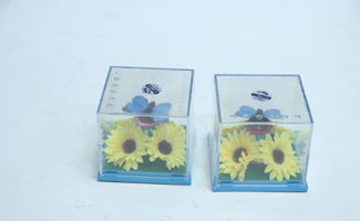 廠家直銷(xiāo)，精選韓版毛絨玩具 從婚慶公仔到潮流大號(hào)娃娃的全方位指南